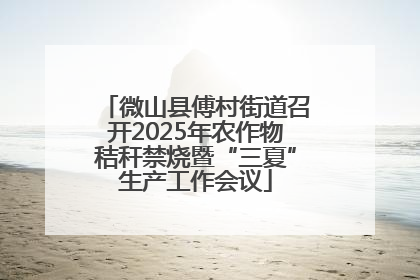 微山县傅村街道召开2025年农作物秸秆禁烧暨“三夏”生产工作会议