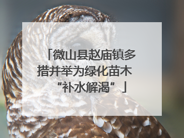 微山县赵庙镇多措并举为绿化苗木“补水解渴”