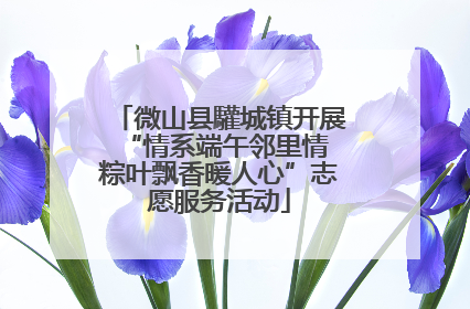 微山县驩城镇开展“情系端午邻里情 粽叶飘香暖人心”志愿服务活动