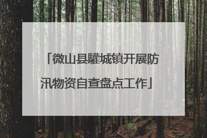 微山县驩城镇开展防汛物资自查盘点工作