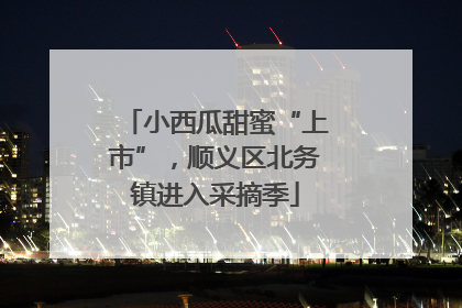 小西瓜甜蜜“上市”，顺义区北务镇进入采摘季