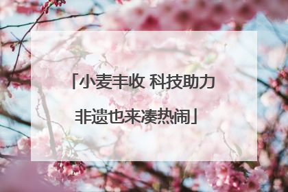 小麦丰收 科技助力 非遗也来凑热闹