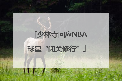 少林寺回应NBA球星“闭关修行”