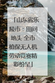 山东省乐陵市：田间地头 全市植保无人机劳动竞赛精彩纷呈
