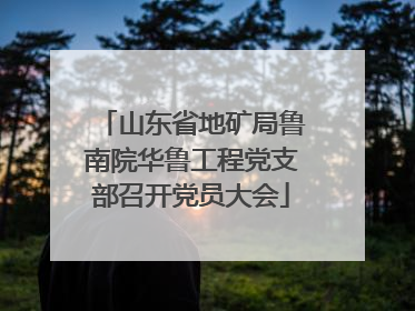 山东省地矿局鲁南院华鲁工程党支部召开党员大会