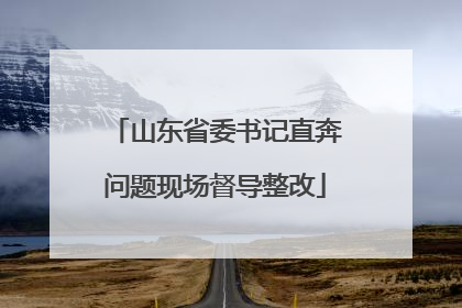 山东省委书记直奔问题现场督导整改