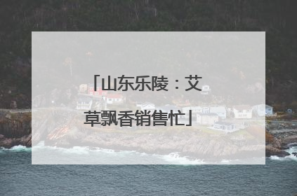 山东乐陵：艾草飘香销售忙