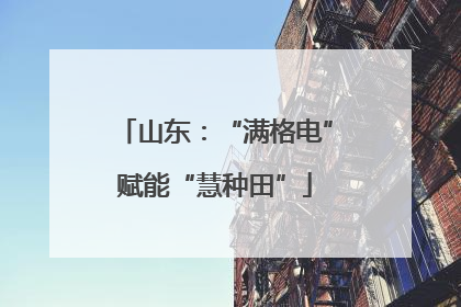 山东：“满格电”赋能“慧种田”