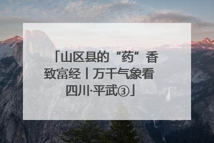 山区县的“药”香致富经丨万千气象看四川·平武③