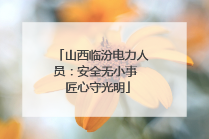 山西临汾电力人员：安全无小事 匠心守光明