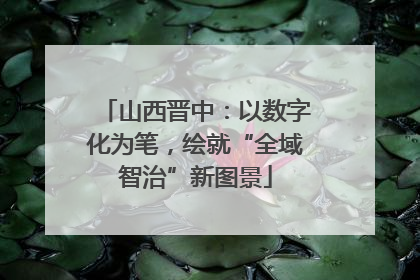 山西晋中：以数字化为笔，绘就“全域智治”新图景