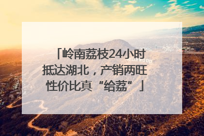 岭南荔枝24小时抵达湖北，产销两旺性价比真“给荔”