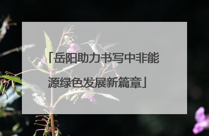 岳阳助力书写中非能源绿色发展新篇章