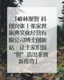 峰林聚智 科创兴张丨张家界旅典文化经营有限公司博士创新站：让土家织锦“智”造出非遗新传奇