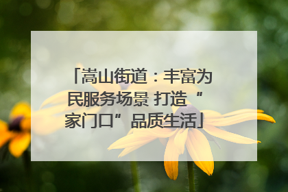 嵩山街道：丰富为民服务场景 打造“家门口”品质生活