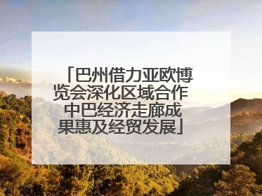 巴州借力亚欧博览会深化区域合作 中巴经济走廊成果惠及经贸发展