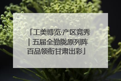 工美博览·产区竞秀｜五届全勤陇原列阵 百品领衔甘肃出彩