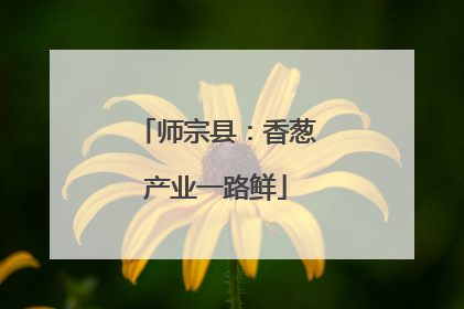 师宗县：香葱产业一路鲜