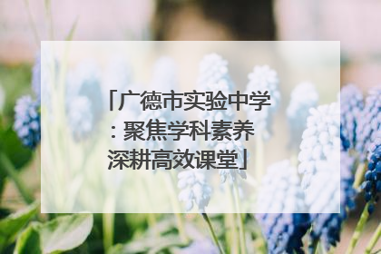 广德市实验中学：聚焦学科素养 深耕高效课堂