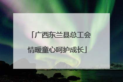 广西东兰县总工会情暖童心呵护成长