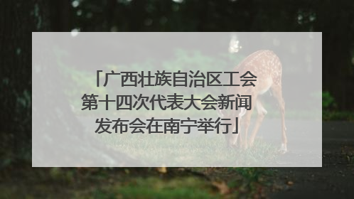 广西壮族自治区工会第十四次代表大会新闻发布会在南宁举行