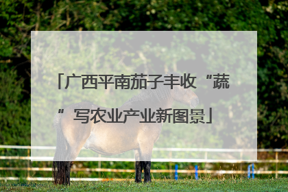 广西平南茄子丰收“蔬”写农业产业新图景