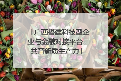 广西搭建科技型企业与金融对接平台 共育新质生产力