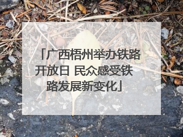 广西梧州举办铁路开放日 民众感受铁路发展新变化