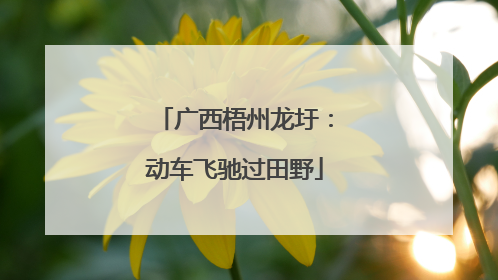 广西梧州龙圩：动车飞驰过田野
