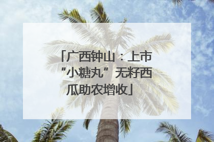 广西钟山：上市“小糖丸”无籽西瓜助农增收