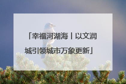 幸福河湖海丨以文润城引领城市万象更新