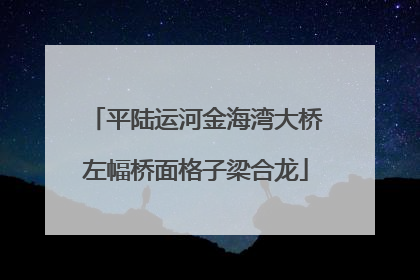 平陆运河金海湾大桥左幅桥面格子梁合龙