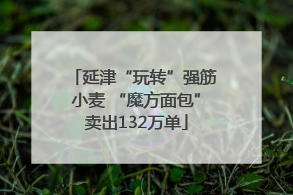 延津“玩转”强筋小麦 “魔方面包”卖出132万单