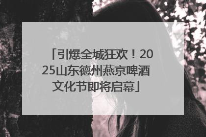 引爆全城狂欢！2025山东德州燕京啤酒文化节即将启幕