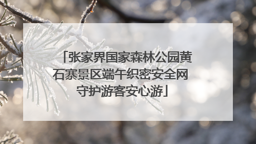 张家界国家森林公园黄石寨景区端午织密安全网 守护游客安心游