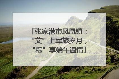 张家港市凤凰镇：“艾”上军旅岁月，“粽”享端午温情