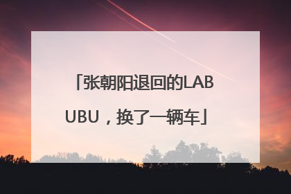 张朝阳退回的LABUBU，换了一辆车
