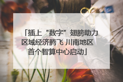插上“数字”翅膀助力区域经济腾飞 川南地区首个智算中心启动