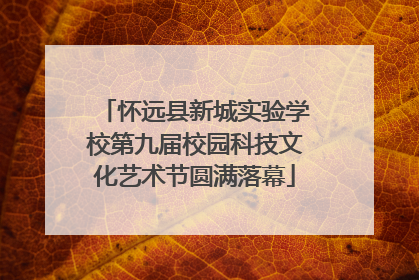 怀远县新城实验学校第九届校园科技文化艺术节圆满落幕