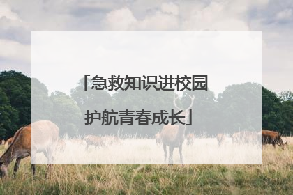 急救知识进校园 护航青春成长