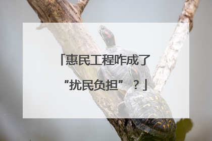 惠民工程咋成了“扰民负担”？