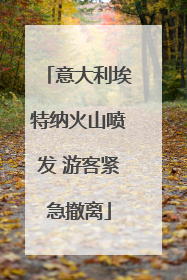 意大利埃特纳火山喷发 游客紧急撤离