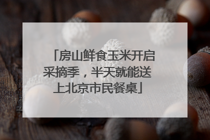 房山鲜食玉米开启采摘季，半天就能送上北京市民餐桌