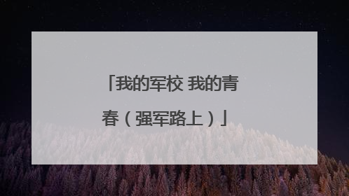 我的军校 我的青春（强军路上）