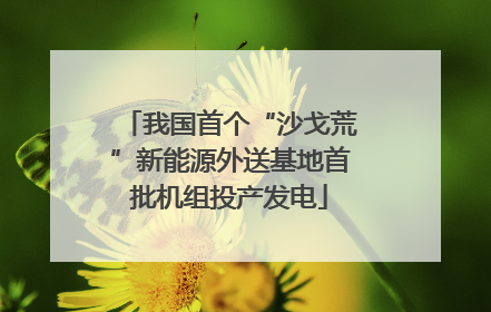 我国首个“沙戈荒”新能源外送基地首批机组投产发电