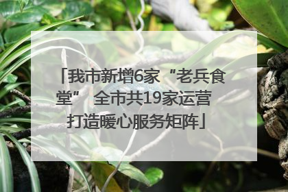 我市新增6家“老兵食堂” 全市共19家运营 打造暖心服务矩阵