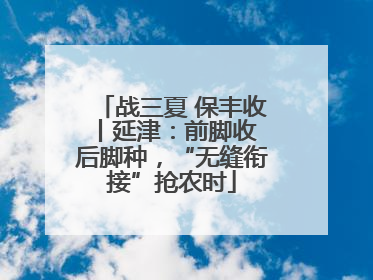 战三夏 保丰收丨延津：前脚收 后脚种，“无缝衔接”抢农时