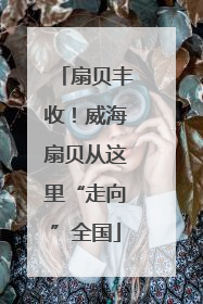 扇贝丰收！威海扇贝从这里“走向”全国