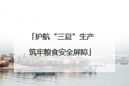 护航“三夏”生产 筑牢粮食安全屏障