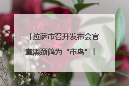 拉萨市召开发布会官宣黑颈鹤为“市鸟”